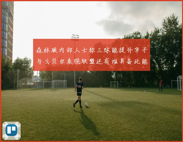森林狼内部人士称三球能提升华子与戈贝尔表现联盟还有谁具备此能力